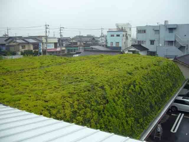 常緑キリンソウ屋根緑化施工事例1.JPG