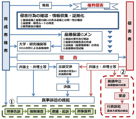 侵害行為の対応例（フロー図）